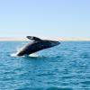 Cheap car rental in Ensenada