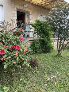 Maisons de vacances Maison familiale 8 p en vallee de Dordogne - Lot : photos des chambres