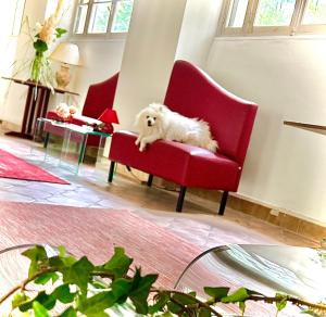 B&B / Chambres d'hotes Le Chambon, Chambres d'hotes : photos des chambres