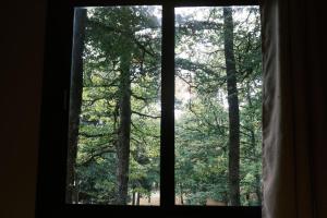 Chalets Lodge avec SPA privatif - Foret et Lac : photos des chambres