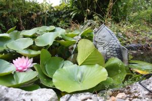 B&B / Chambres d'hotes Le Peyrail : photos des chambres