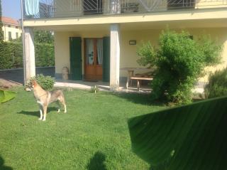 B&B Lattemiele - 1