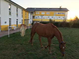 i-Motel - 9