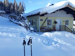 Ferienhaus Niedernsill - 8