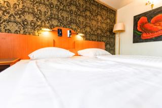 Hotel Krone - 2