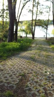 Natur-Freude-16 - 1