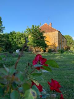 Alfred et George - Le Gîte - 1