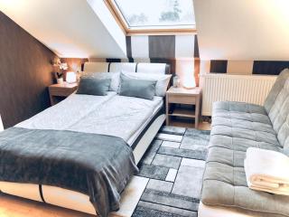 Baden Airpark Family Apartment - 4