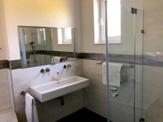 Dreamapartment La Vigna Living mit eigenem Aussenpool & Sauna - Weil am Rhein - 3