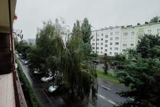 Cosy Studio in University District-Free Parking with gate! - 8