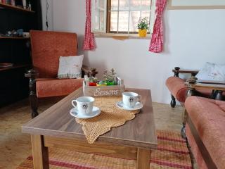 Rural house above the forest - 2