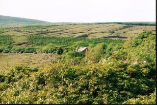 Charming House in Laghy with Garden - 4
