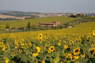Fontegirasole - a Fontanaro Property - 1