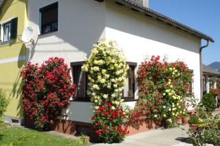 Villa Lindwurm - 0