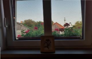 Przystanek Tykocin - apartamenty gościnne - 1