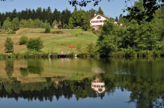 "Chambre Merisier" dans une ferme avec étang privé au coeur de la région des mille étangs, Faucogney-et-La-Mer - 8