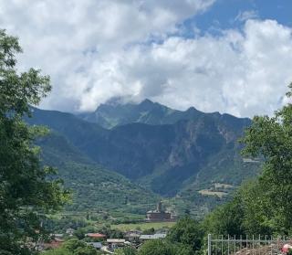 Oasi verde - 5