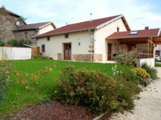 Gîte spacieux avec terrasse, confort moderne dans un cadre verdoyant et propice aux balades. - FR-1-589-79 - 0