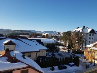 Gaga apartman Zlatibor - 4