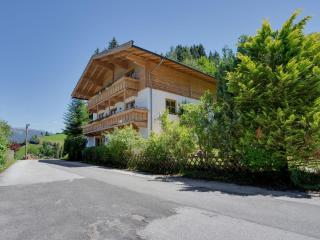 Chalet in Hollersbach Salzburg near ski area - 0