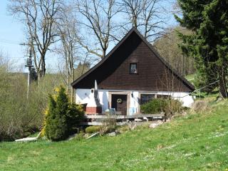 Holiday home with terrace in the Black Forest - 9