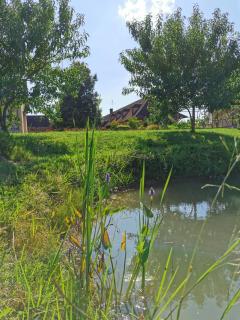 Gîte de la Ferme de la Terve - 4