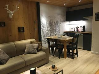 Les Deux Alpes, Le Lauvitel, appartement cosy, pied des pistes, 2 adultes 2 enfants - 7