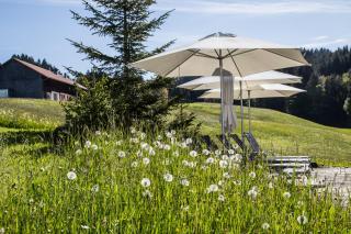 Haubers Naturresort Landhaus - 2