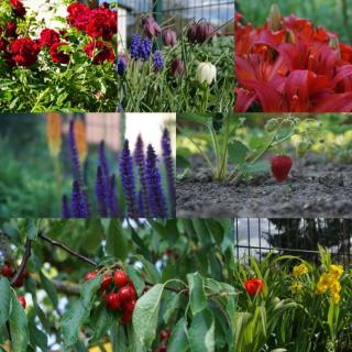 Gartenblick Trebbin - 8