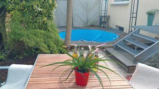 FeWo bei Tati - Bungalow - 6