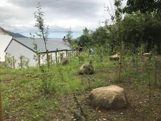 An Bothán-Cosy Cottage in the Cooley Mountains - 2