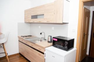 COSY STUDIO IN NOVE ZAMKY - 7