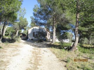 Mazet pleine nature - 8
