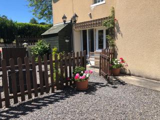 Le Grand Camelia - 9