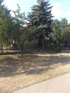 Bački Raj - 9