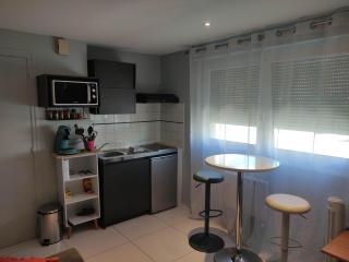 APPARTEMENT NANCY THERMAL/ARTEM/PARC STE MARIE Le 61 LES THERMES - 0