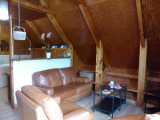Chalet familial près de Vichy, terrasse, animaux acceptés - FR-1-489-274 - 3
