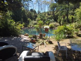 Chambre studio Verparadis - 0