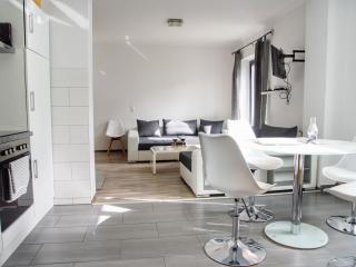 Spacious apartment with garden near the sea - 4