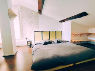Superbe appartement duplex centre ville de Macon - 6