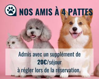 Le Baionarena 4 pers-terrasse-parking-hypercentre - 5