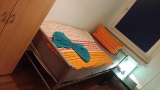 Stellas Monteurs u. Ferienwohnung - 4