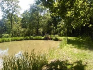 Gîte familial au cœur du parc de La Brenne avec étang privé, cheminée, Wi-Fi et animaux acceptés - FR-1-591-377 - 5