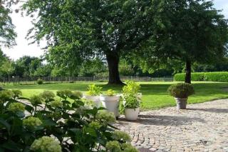 Country house Clos des hortensias - 6
