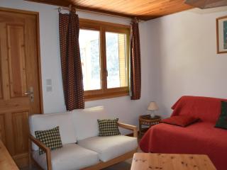 Appartement 3 pièces en rez-de-jardin, animaux admis - FR-1-464-183 - 0