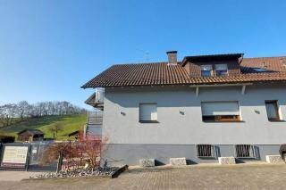 Große tolle 4 Zimmer Ferienwohnung im Herzen des Odenwaldes - 8