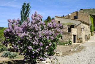 Ca L'Olier - 9