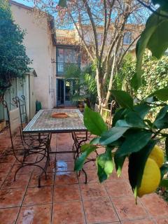 Un petit oasis en plein centre de Céret. - 8