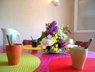 Maison charmante à Aignes avec jardin et barbecue - 7