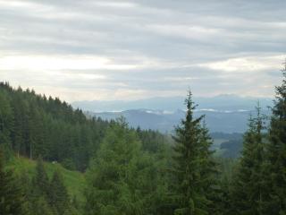 Almhütte - Schwaig - 2